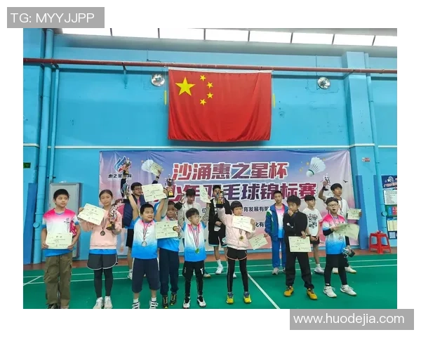 武汉羽毛球队的崛起与挑战聚焦羽毛球实力与未来发展方向