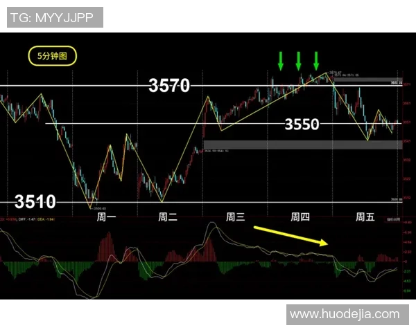 深入分析西安羽毛球队区域防守策略与战术运用的全景解读