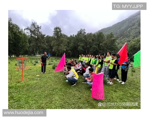 飞盘热议：武汉飞盘队的团队协作争议